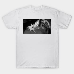 The Brain from Planet Arous (1957) T-Shirt